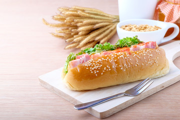 Hot dog on wood background