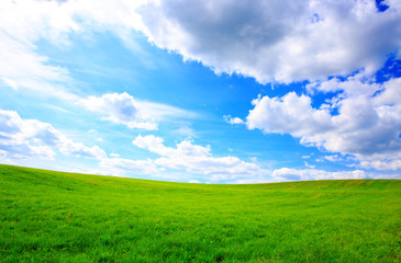 Summer landscape with green grass and blue sky.
