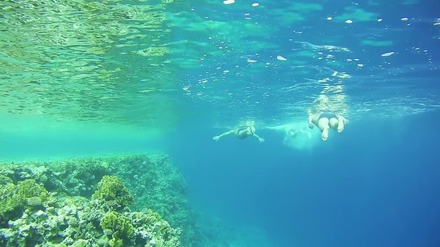 People Snorkeling Underwater in the Red Sea, Egypt