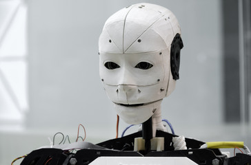 The head of the robot