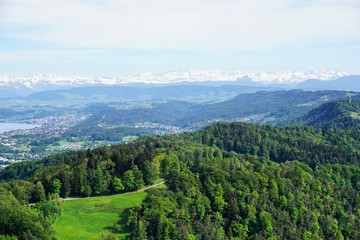 Fototapeta premium Zürich und der Zürichsee vom Ütliberg