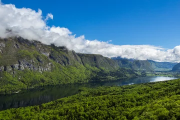 Foto op Canvas Lake Bohinj from Vogel cable car top station. Julian Alps. Slovenia © daliu