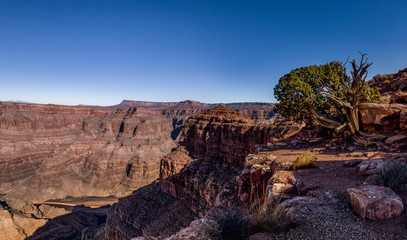 Panoramic view of Grand Canyon West Rim - Arizona, USA