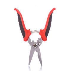 New scissor. Studio shot isolated on white