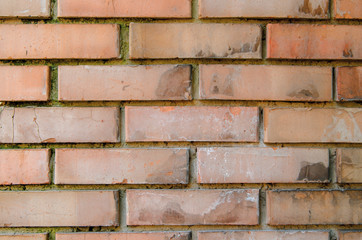 Background of plain brick