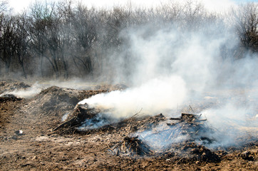 Burning garbage in the forest