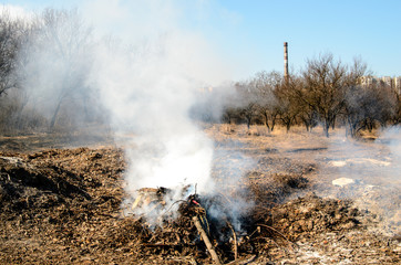 Burning garbage in the forest