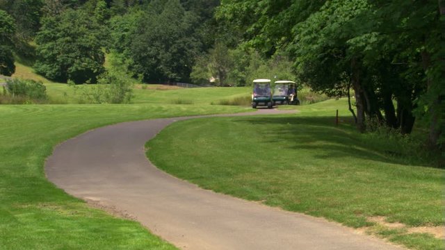 Two golf carts carrying golfers and bags coming toward camera on a winding path