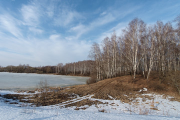 spring landscape with a view of lake and trees