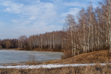 spring landscape with a view of lake and trees