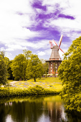 Green Parks with flowers and sun