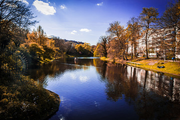 Fototapeta premium Green Parks with flowers and sun