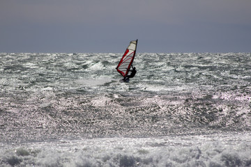 Windsurfing in the sea