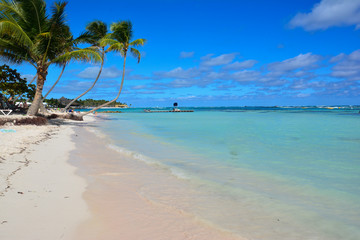 Fototapeta na wymiar sea panoramic view of the Dominican Republic in the Caribbean with white beaches and palm trees