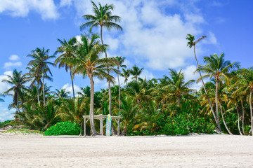 Fototapeta na wymiar sea panoramic view of the Dominican Republic in the Caribbean with white beaches and palm trees