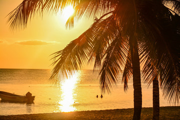 sea panoramic view of the Dominican Republic in the Caribbean with white beaches and palm trees