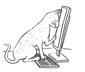 Computer Cat