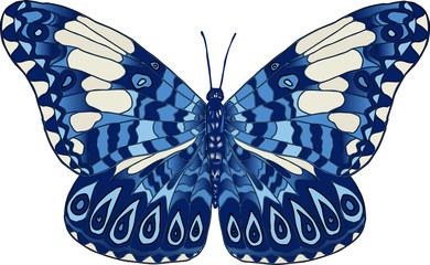 Векторное изображение разноцветная тропическая бабочка изолированная на белом фоне