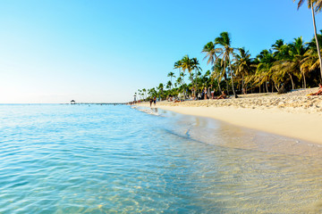 Fototapeta premium sea panoramic view of the Dominican Republic in the Caribbean with white beaches and palm trees