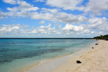 Fototapeta premium sea panoramic view of the Dominican Republic in the Caribbean with white beaches and palm trees