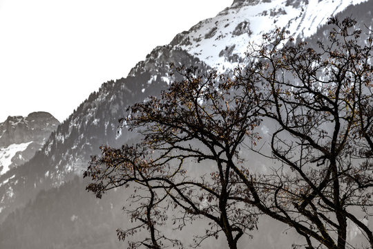 Beautiful snowy mountains, sunny day in Alps