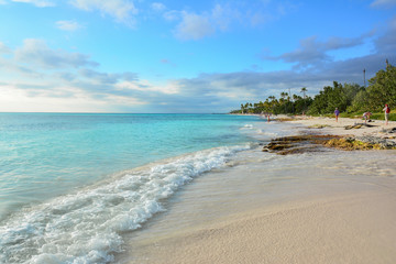 sea panoramic view of the Dominican Republic in the Caribbean with white beaches and palm trees