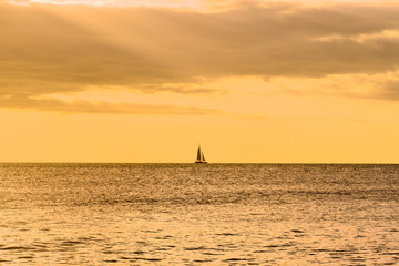 Fototapeta premium sea panoramic view of the Dominican Republic in the Caribbean with white beaches and palm trees