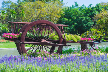 decoration flowers on buckboard in the park. beautiful colorful flowers.