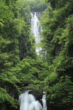 Scenic view of Kamba waterfall