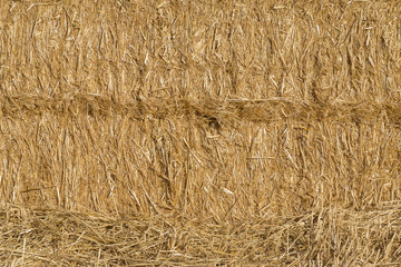 Texture of straw bale, truss. Paca abtract background