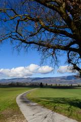 Strasse über den Berg mit grüner Wiesen