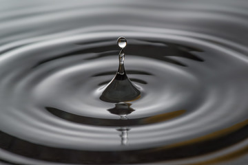Water drop falling into water making a concentric circles 
