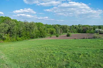 Partially cultivated farmland