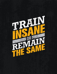 Train Insane Or Remain The Same. Workout and Fitness Motivation Quote. Creative Vector Typography Concept