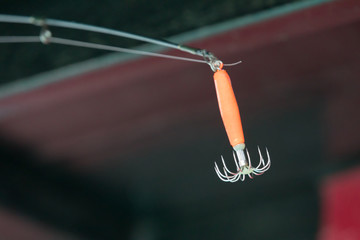 squid bait