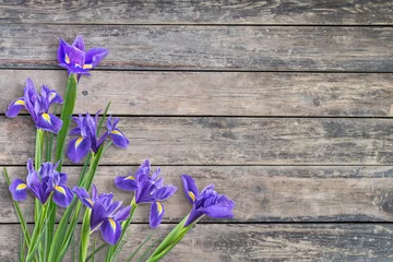 Stickers pour porte Iris Fleurs d& 39 iris de printemps