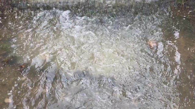 bahar mevsiminde suların coşması