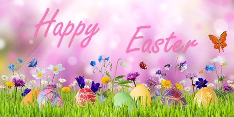 Easter Background with Eggs and Flowers