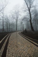 Obraz na płótnie Canvas Fog in the park