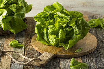 Raw Green Organic Boston Butter Lettuce