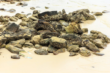 The rocks on the beach