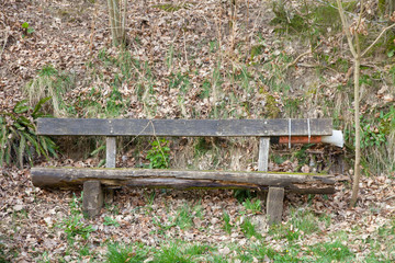 Fototapeta premium Bank in einem Wald