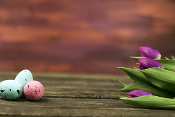 Easter theme, tulips and eggs