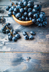 Bunch of black grapes