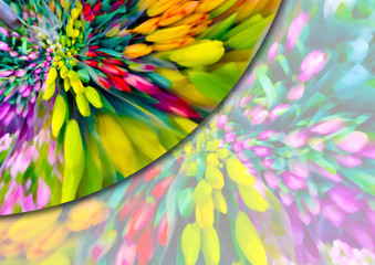 Floral colorful background with colorful tulip flowers, for Easter or Best wishes greeting cards.