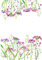 Floral border of a meadow herbs and flowers. Frame of a pink flowers. Watercolor hand drawn illustration.