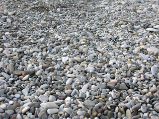 Pebbles on the sea shore background photo