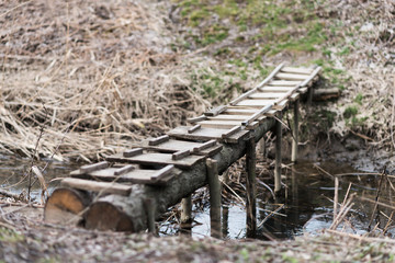 Wooden bridge across a small stream. Nature.