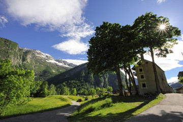 Naklejka premium swiss alps