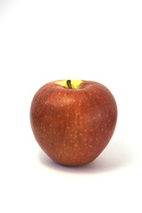apple red 